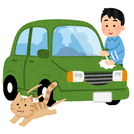 お役立ち情報 19 12 大田区蒲田で動物病院 トリミングなら 吉村動物病院