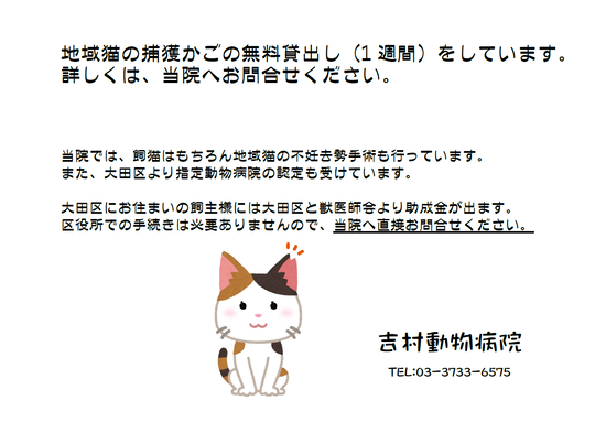 お役立ち情報 19 06 大田区蒲田で動物病院 トリミングなら 吉村動物病院